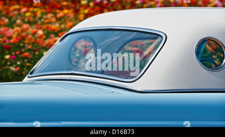 Ein elegantes Auto ist von hellen, bunten Blumen umgeben. Stockfoto