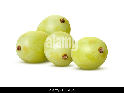 Weiße Trauben isoliert auf weiss. Stockfoto