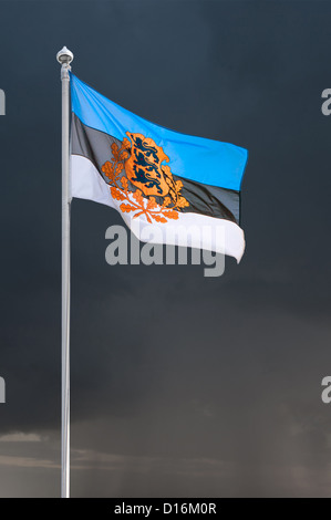 Flagge der estnischen Präsidenten fliegen im Wind. Dunklen Himmel. Stockfoto