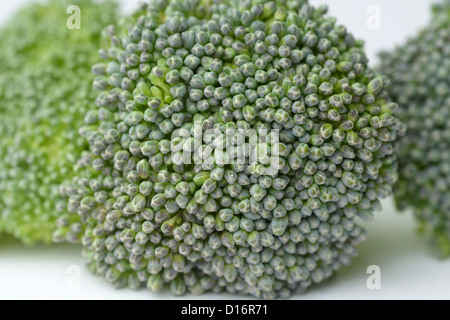 Broccoli-Röschen Nahaufnahme Stockfoto