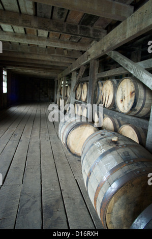 Whisky-Fässer Stockfoto