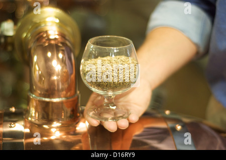 1792 Ridgemont Reserve Bourbon in der Tom Moore-Destillerie in Bardstown, Kentucky Stockfoto