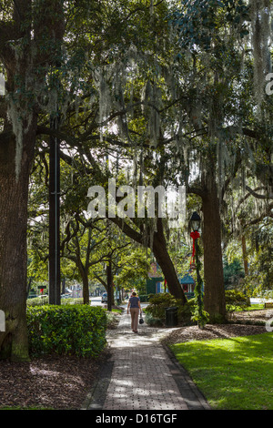 Typische Straße durch ein Quadrat in der historischen Innenstadt von Savannah, Georgia, USA Stockfoto