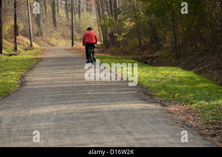 Mann fährt Fahrrad Weg in Holz landen. Stockfoto