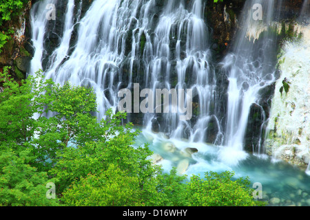 Shirahige Wasserfall und grünen Blättern in Biei, Hokkaido Stockfoto