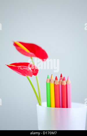 Flamingo Lilie Blumen und Buntstifte in einer Tasse Stockfoto