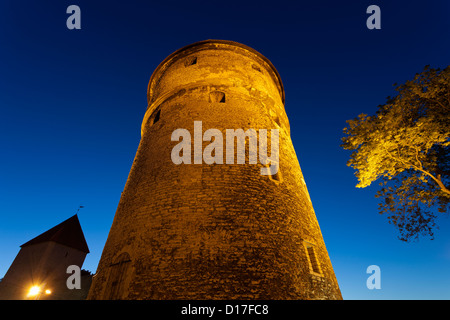 Niedrigen Winkel Ansicht der mittelalterlichen Stadtmauer Stockfoto