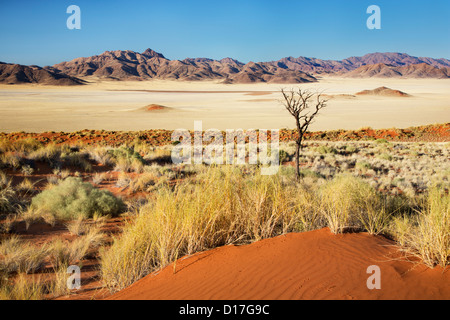 Blick über Schloss Valley in der Namib-Rand-Reserve in Namibia Stockfoto