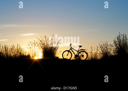 Fahrrad unter den Gräsern bei Sonnenuntergang. Indien. Silhouette Stockfoto