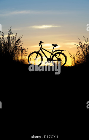 Fahrrad unter den Gräsern bei Sonnenuntergang. Indien. Silhouette Stockfoto