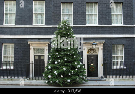 Weihnachtsbaum außerhalb Nummer 10 DOWNING STREET Weihnachtsbaum LONDON ENGLAND UK 10. Dezember 2012 Stockfoto