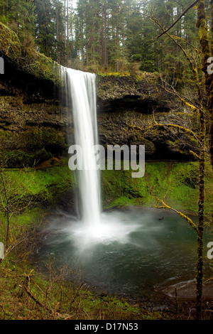 OREGON - Süden fällt in Silver Falls State Park befindet sich in der gemäßigten Regenwald an der Basis der Cascade Mountain Range. Stockfoto