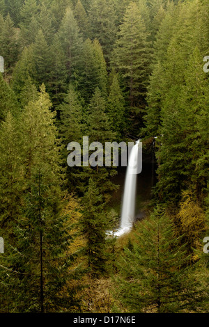 OREGON - Norden fällt in Silver Falls State Park befindet sich in der gemäßigten Regenwald an der Basis der Cascade Mountains. Stockfoto