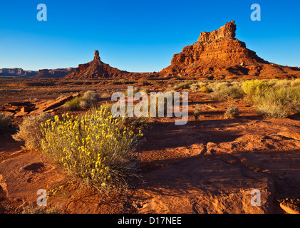 Sitting Hen Butte und Rooster Butte bei Sonnenuntergang, Valley of the Gods, Utah, USA, Vereinigte Staaten von Amerika Stockfoto