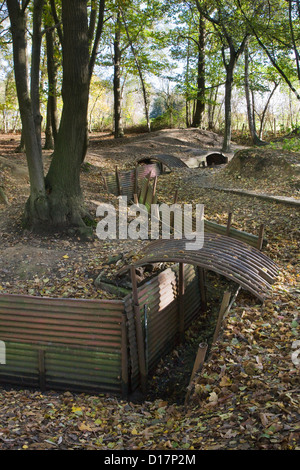 WW1 Gräben vom ersten Weltkrieg eine Frontlinie am Heiligtum Holz Museum Hill 62 bei Zillebeke, West-Flandern, Belgien Stockfoto