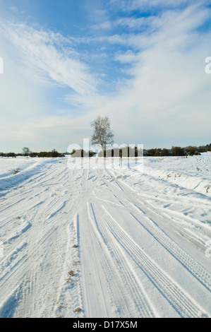 Reifenspuren auf frisch gefallenem Schnee auf Heide im New Forest, England Stockfoto