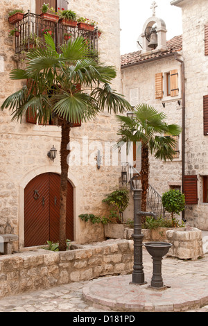 Innenhof mit Palmen in der Altstadt von Kotor in Montenegro. Stockfoto
