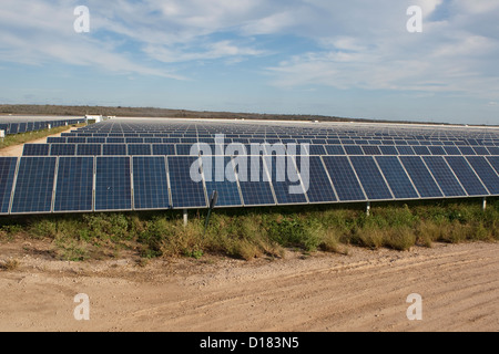 Webberville Solarpark, der größte aktive solar-Projekt von jedem öffentlichen Energieversorger in den Vereinigten Staaten von Amerika Stockfoto