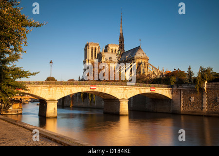 Sonnenaufgang über der Kathedrale Notre Dame an den Ufern des Flusses Seine, Paris Frankreich Stockfoto