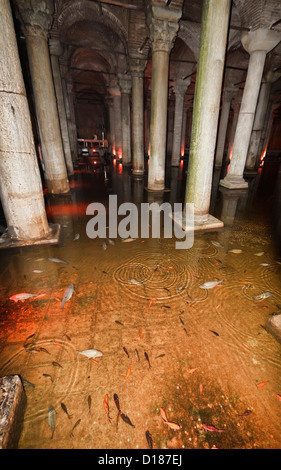 Türkei, Istanbul, die unterirdische Basilika-Zisterne von Justinian gebaut. Viele Arten von Fischen, die in der Zisterne live klares Wasser Stockfoto