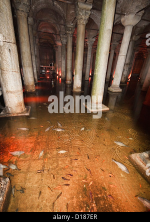 Türkei, Istanbul, die unterirdische Basilika-Zisterne von Justinian gebaut. Viele Arten von Fischen, die in der Zisterne live klares Wasser Stockfoto