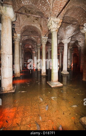 Türkei, Istanbul, die unterirdische Basilika-Zisterne von Justinian gebaut. Viele Arten von Fischen, die in der Zisterne live klares Wasser Stockfoto