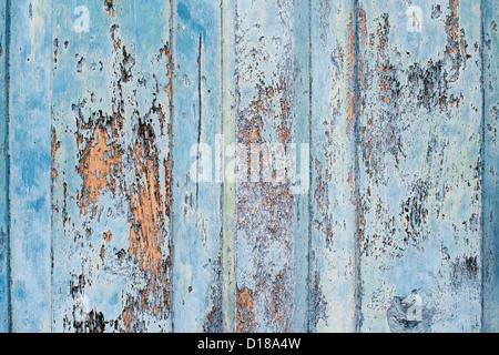 Alte blaue Tür Texturen gemalt. Indien Stockfoto