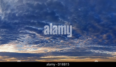 Panorama der Himmel bei Sonnenuntergang mit den verschiedenen Arten von Wolken (gesammelt von mehreren Fotos) Stockfoto