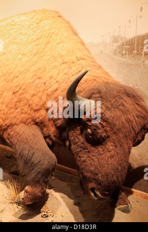 Buffalo Bill Museum & Grab, Golden, Colorado, USA Stockfoto