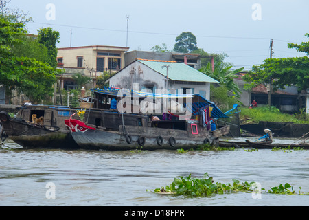 Leben am Mekong-Delta auf dem schwimmenden Markt von Cai Be in Vietnam. Stockfoto