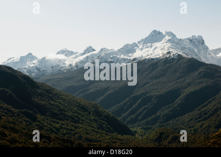 Wälder auf verschneiten Bergen Stockfoto