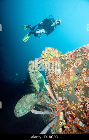 Taucher Unterwasser Schiffbruch zu prüfen Stockfoto