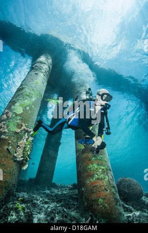 Taucher Unterwasser Schiffbruch zu prüfen Stockfoto