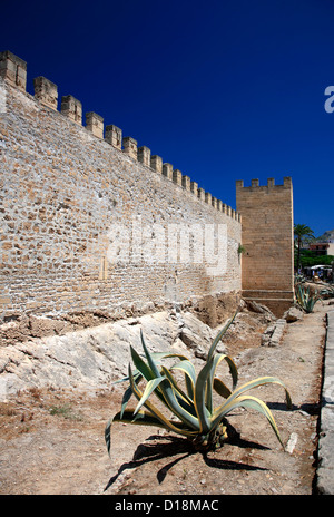 Blick auf die Stadt Wände in die Altstadt Alcudia, Playa de Alcudia, Insel Mallorca, Balearen, Spanien, Europa Stockfoto