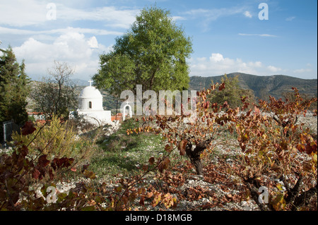 Kirche der Agia Mavri des 12. Jahrhunderts in den Wein Dorf Sonntag in der Region bekannt als Krasochoria nördlich von Lemesos Zypern Stockfoto