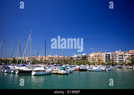 Freizeitboote, Segeln, Marina Puerto de Alcudia, Alcudia, Insel Mallorca, Balearen, Spanien, Europa Stockfoto