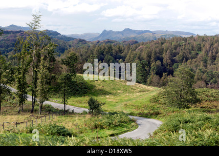 Blick von der Straße in der Nähe von Tarn Hows im englischen Lake District Stockfoto