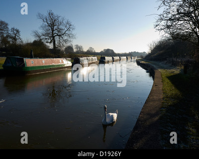 Am frühen Morgen im Winter am Trent und Mersey Kanal in der Nähe von Sandbach UK Stockfoto