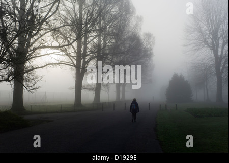 Entfernte Figur im Nebel Stockfoto