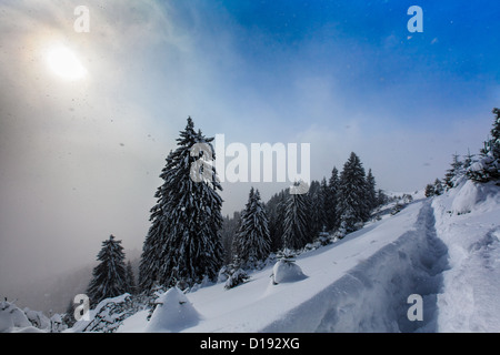 Winter-Sonnenaufgang in den Bergen Stockfoto