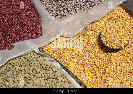 Taschen mit bunten Bohnen und Mais zu verkaufen auf dem outdoor-Food-Markt in Otavalo, Ecuador Stockfoto