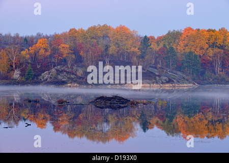 Herbst Reflexionen in einem Biber Teich im Morgengrauen, größere Sudbury (Walden), Ontario, Kanada Stockfoto