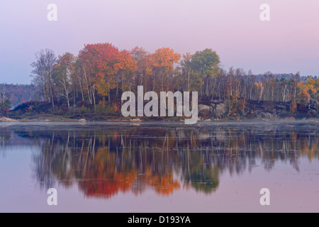 Herbst Reflexionen in einem Biber Teich im Morgengrauen, größere Sudbury (Walden), Ontario, Kanada Stockfoto