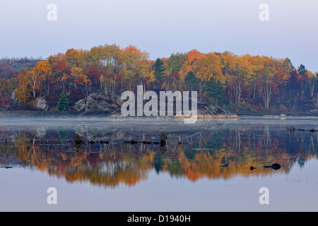 Herbst Reflexionen in einem Biber Teich im Morgengrauen, Greater Sudbury, Ontario, Kanada Stockfoto