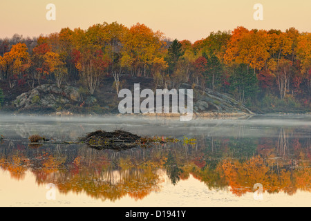 Herbst Reflexionen in einem Biber Teich im Morgengrauen, Greater Sudbury, Ontario, Kanada Stockfoto