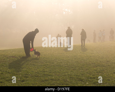 Hundeauslauf im Prospect Park Brooklyn Stockfoto