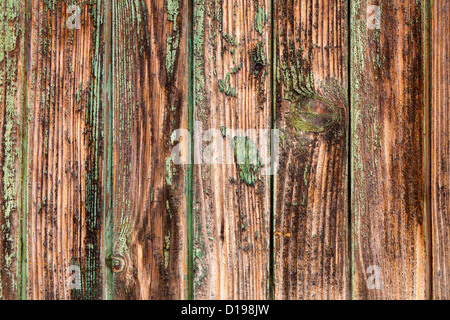 Detail aus alten Holztür Stockfoto