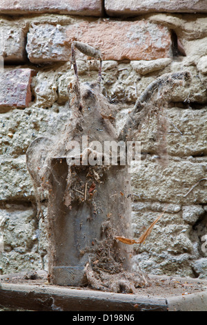 alten Tank für Petroleum in Spinnennetz Stockfoto