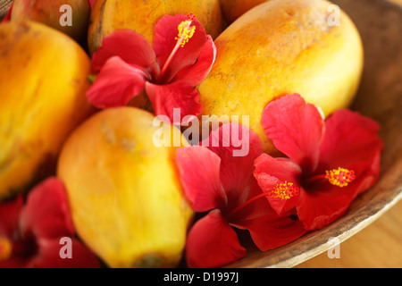 Französisch-Polynesien, Tahiti, Hochzeitsreise, Papaya und Hibiskus Schüssel. Stockfoto