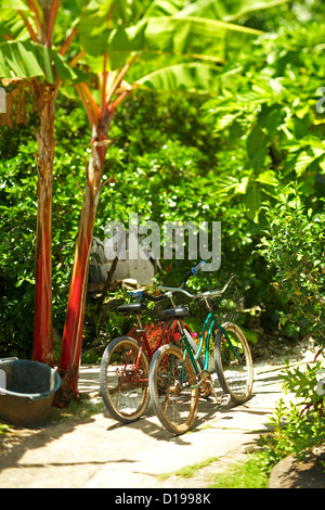 Französisch-Polynesien, Tahiti, Hochzeitsreise, lokale Fahrräder In Einfahrt geparkt. Stockfoto